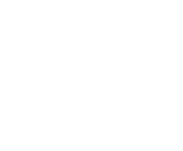 Evolution games at Ted Bet Casino